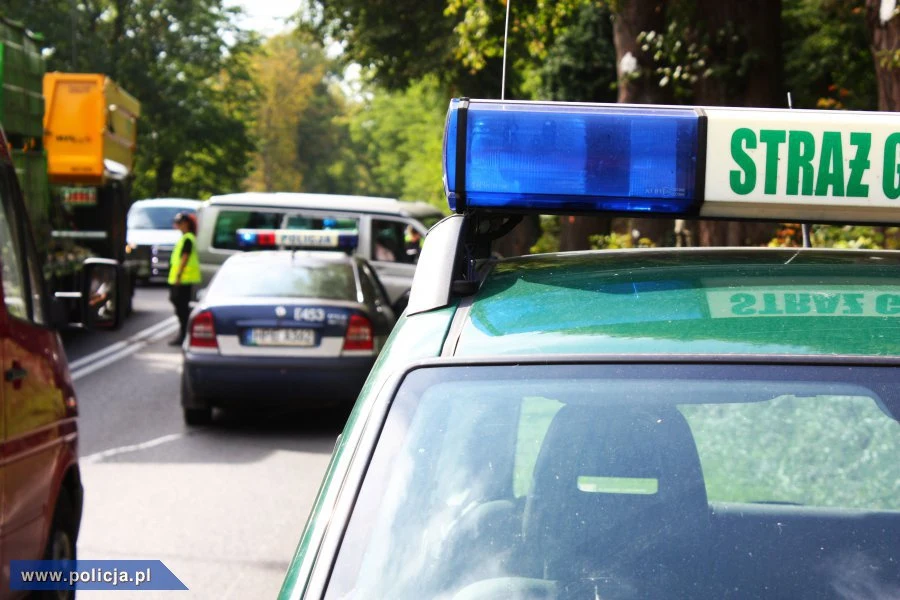 W pościgu brali udział strażnicy graniczni i policjanci