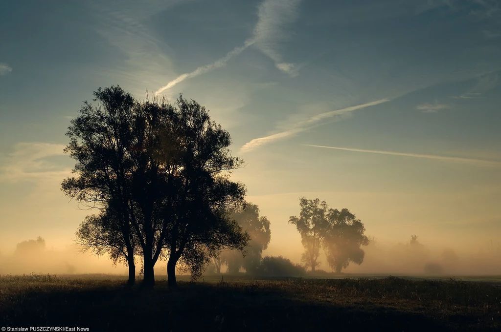 W Dolinie Warty/fot. S. Puszczyński