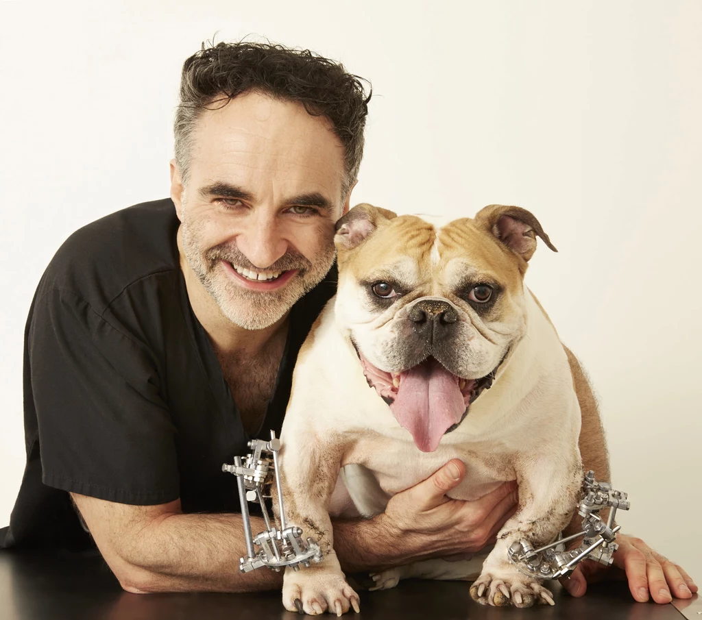 Noel Fitzpatrick to słynny na świecie bioniczny weterynarz