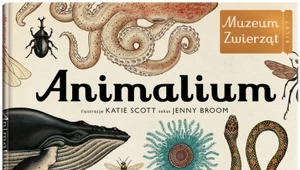 „Animalium. Muzeum zwierząt” 