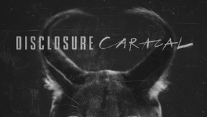 Recenzja Disclosure "Caracal": Zatańcz ze mną