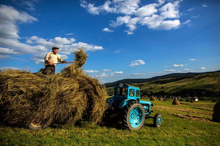 Borynia, Ukraina. Lipiec 2015