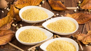 Kasza jaglana - hit ostatnich lat