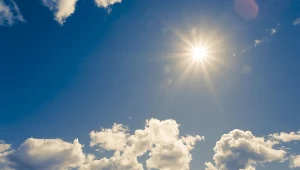 Witamina D odpowiada za właściwą pracę mięśni