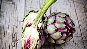 Karczochy korzystnie wpływają na pracę wątroby