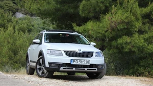 Skoda wciąż pozostaje liderem sprzedaży