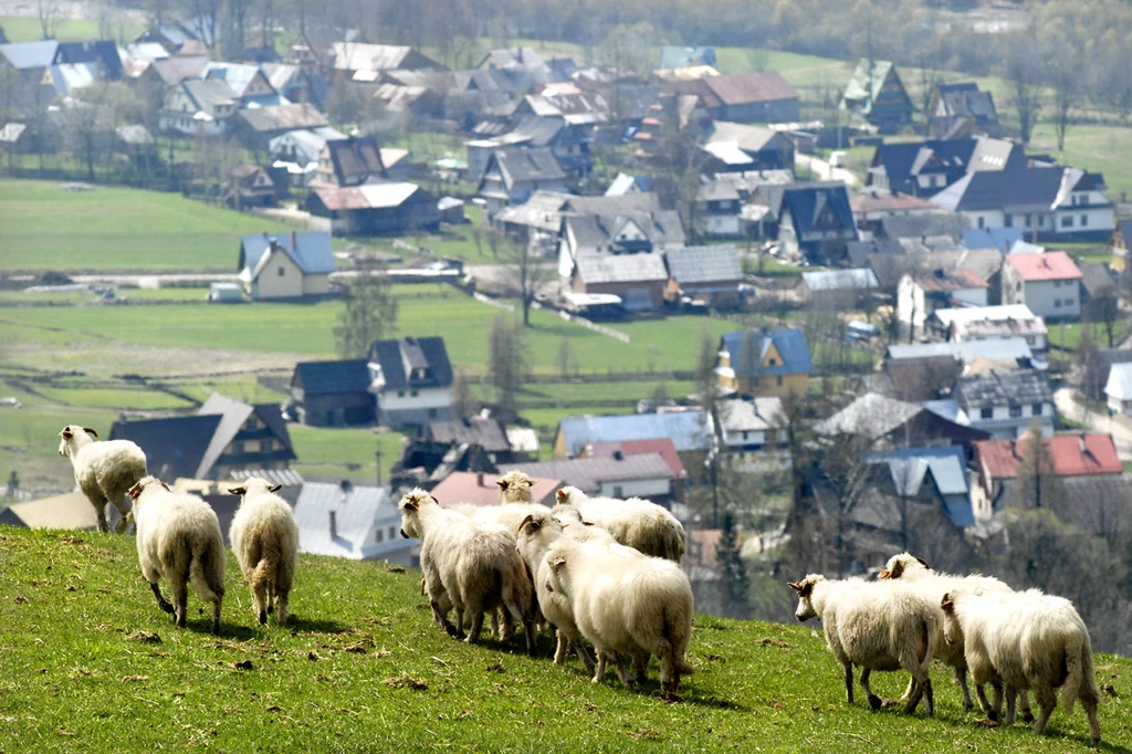 Widok na Białkę Tatrzańską