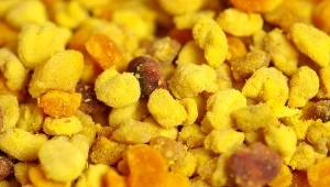 Pyłek kwiatowy zaliczany jest do superżywności