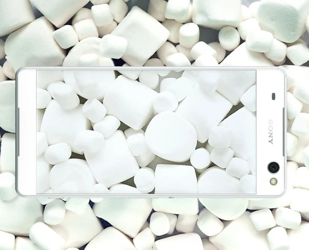 Jest szansa na aktualizację dla smartfonów Sony Xperia - trzeba jedna będzie ją w niektórzych przypadkach "zrobić samemu" Jest szansa na aktualizację dla smartfonów Sony Xperia - trzeba jedna będzie ją w niektórzych przypadkach "zrobić samemu"