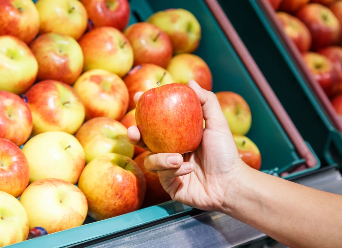 Obierki z jabłka dostarczą pelargoniom m.in. potasu