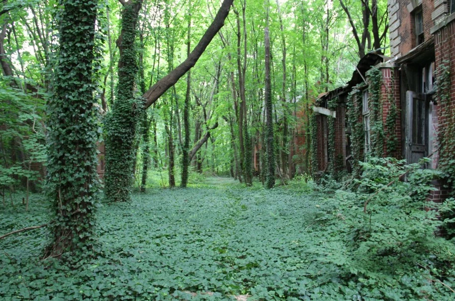 O miejsce to juz jakiś czas temu zaczęła upominać się natura