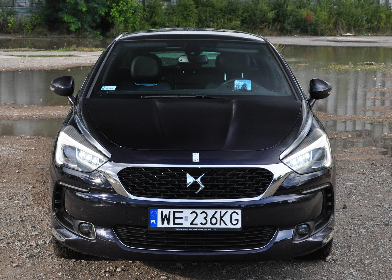 DS 5