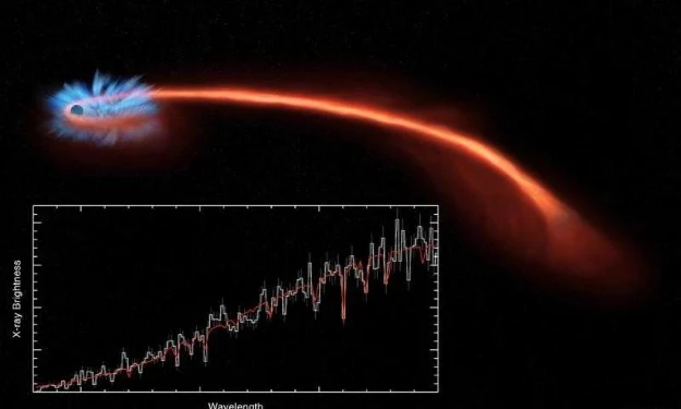 Czarna dziura rozrywa gwiazdę. Fot. NASA/CXC/M. Weiss