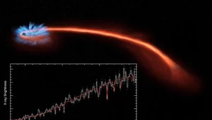 Zaobserwowano moment rozrywania gwiazdy przez czarną dziurę