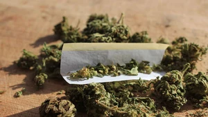 Polityk SPD za legalizacją marihuany w ramach umowy koalicyjnej, zdjęcie ilustracyjne 