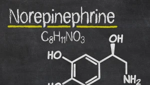 Noradrenalina stosowana jest do regulowania ciśnienia tętniczego.
