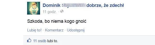 Po samobójstwie Dominka w sieci powstał fanpage, gromadzacy negatywne komentarze