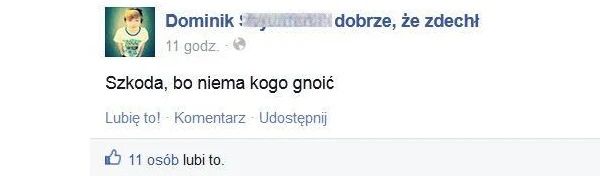 Po samobójstwie Dominka w sieci powstał fanpage, gromadzacy negatywne komentarze Po samobójstwie Dominka w sieci powstał fanpage, gromadzacy negatywne komentarze