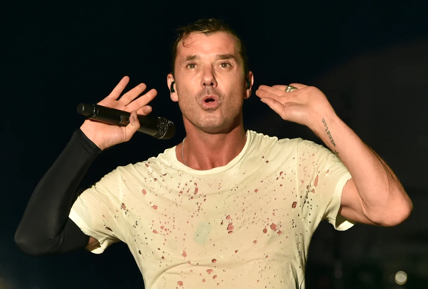 Po wydaniu albumu "Golden State" (2001 r.) zespół Bush zawiesił swoją działalność, a Gavin Rossdale wraz z gitarzystą Chrisem Traynorem powołali do życia projekt pod nazwą Institute. Następnie Rossdale skoncentrował się na solowej karierze muzycznej oraz filmowej Po wydaniu albumu "Golden State" (2001 r.) zespół Bush zawiesił swoją działalność, a Gavin Rossdale wraz z gitarzystą Chrisem Traynorem powołali do życia projekt pod nazwą Institute. Następnie Rossdale skoncentrował się na solowej karierze muzycznej oraz filmowej