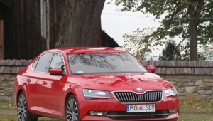 Skoda Superb. Król zamówień publicznych