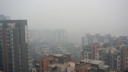 Jak odróżnić mgłę od smogu?