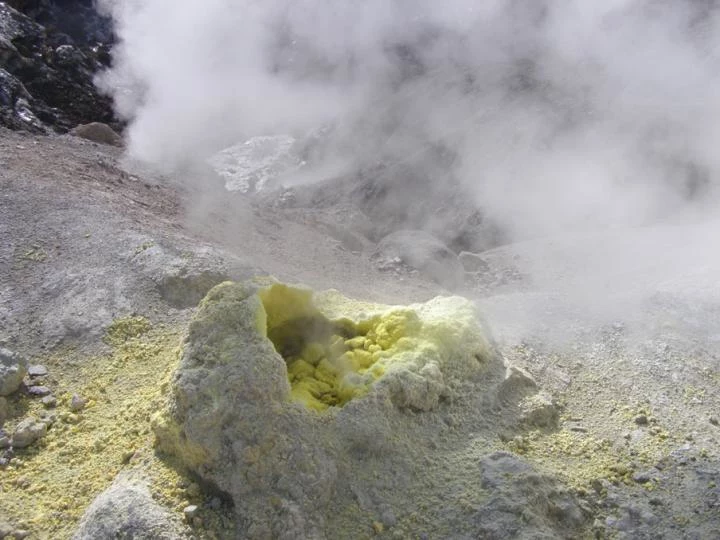 Archeony Sulfolobus islandicus żyją w takich źródłach geotermalnych jak te na Kamczatce