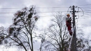 Pracownik pogotowia energetycznego zabezpiecza zerwaną linię energetyczną w Rumii