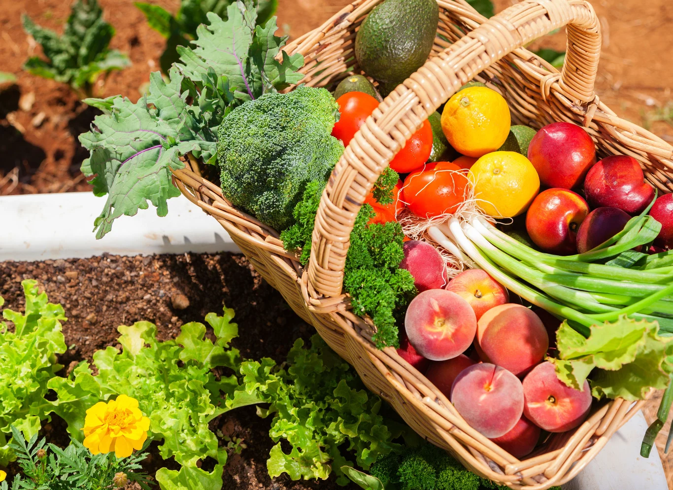 Badania wskazują na istotną rolę diety zarówno w prewencji, jak i wspomaganiu leczenia choroby uchyłkowej