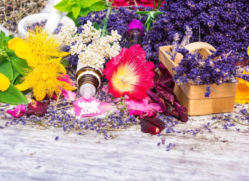 Do produkcji leków homeopatycznych są wykorzystywane naturalne surowce pochodzenia roślinnego