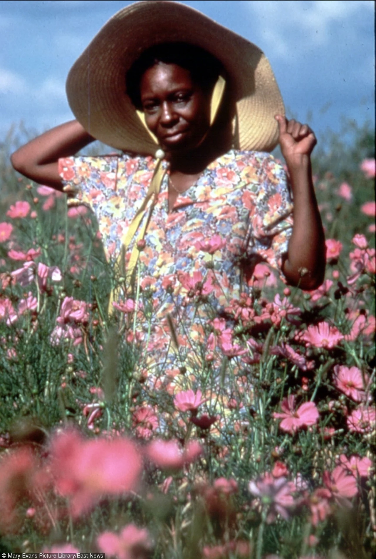 Aktorskim debiutem Whoopi Goldberg jest rola w "Kolorze purpury" (1985) Stevena Spielberga, za którą otrzymała nominację do Oscara.

Goldberg z niesamowitym instynktem potrafiła stworzyć subtelny i zarazem wstrząsający portret kobiety ubezwłasnowolnionej, zależnej od mężczyzn, i przez to pozbawionej nadziei. 

Jej pierwsza filmowa kreacja przez wielu krytyków uznawana jest za najwybitniejszą w całej karierze.

 