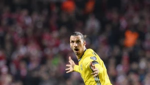As Szwecji Zlatan Ibrahimović cieszy się z gola podczas meczu z Danią