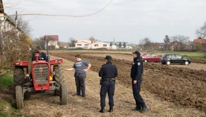 Chłop żywemu nie przepuści