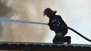 Strazacy walczą z ogniem. Zdj. ilustracyjne