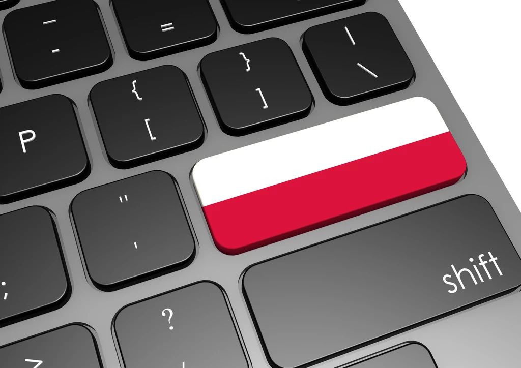 Patrząc na „stan obronności cybernetycznej” w Polsce można się nieco przestraszyć...