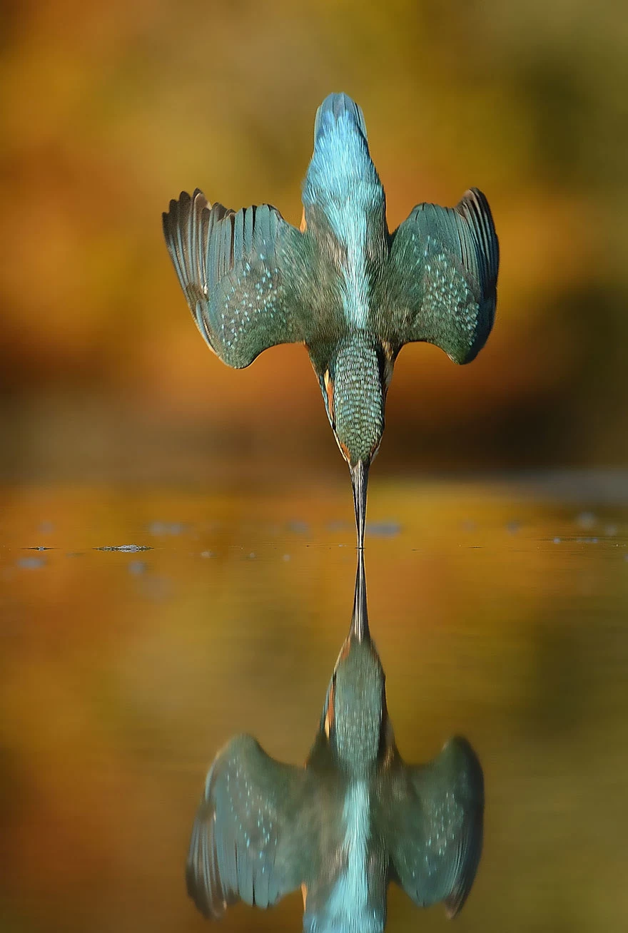 Fotografia w całej okazałości Fotografia w całej okazałości