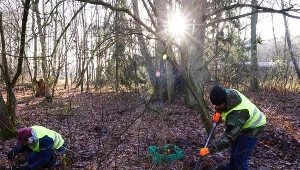 Archeolodzy badają teren w sąsiedztwie Muzeum Stutthof