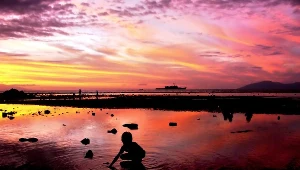 Demokratyczna Republika Timoru Wschodniego