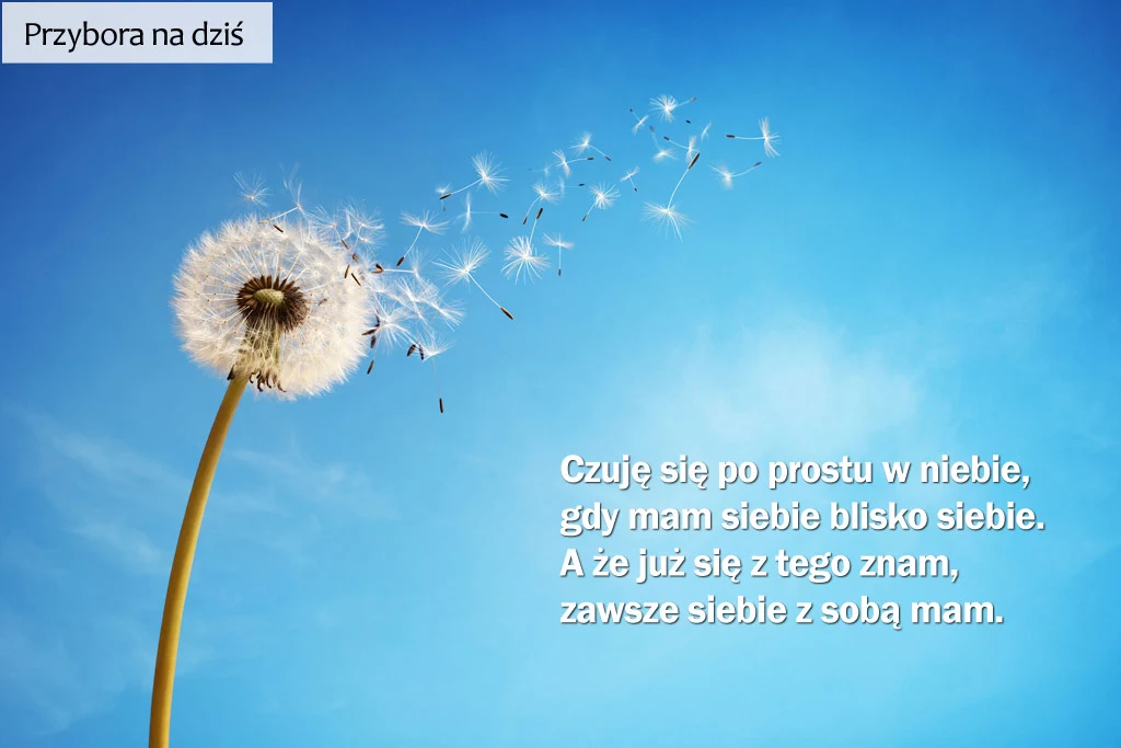 Przybora na dziś: 10 grudnia. KLIKNIJ i weź udział w konkursie "Miesiąc z Jeremim Przyborą" Przybora na dziś: 10 grudnia. KLIKNIJ i weź udział w konkursie "Miesiąc z Jeremim Przyborą"