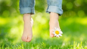 W ich wyniku dochodzi do obrzęków i stwardnień najczęściej kończyn dolnych i górnych.