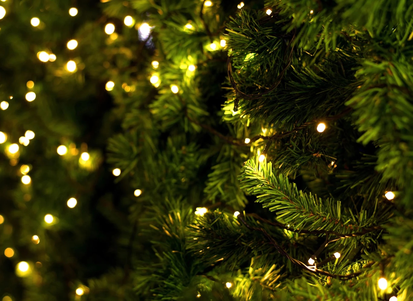 Jak się okazuje, lampki choinkowe LED pobierają znacznie mniej prądu