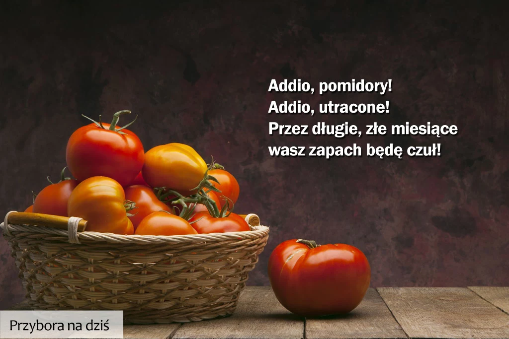 Przybora na dziś: 21 grudnia. KLIKNIJ i weź udział w konkursie "Miesiąc z Jeremim Przyborą" Przybora na dziś: 21 grudnia. KLIKNIJ i weź udział w konkursie "Miesiąc z Jeremim Przyborą"