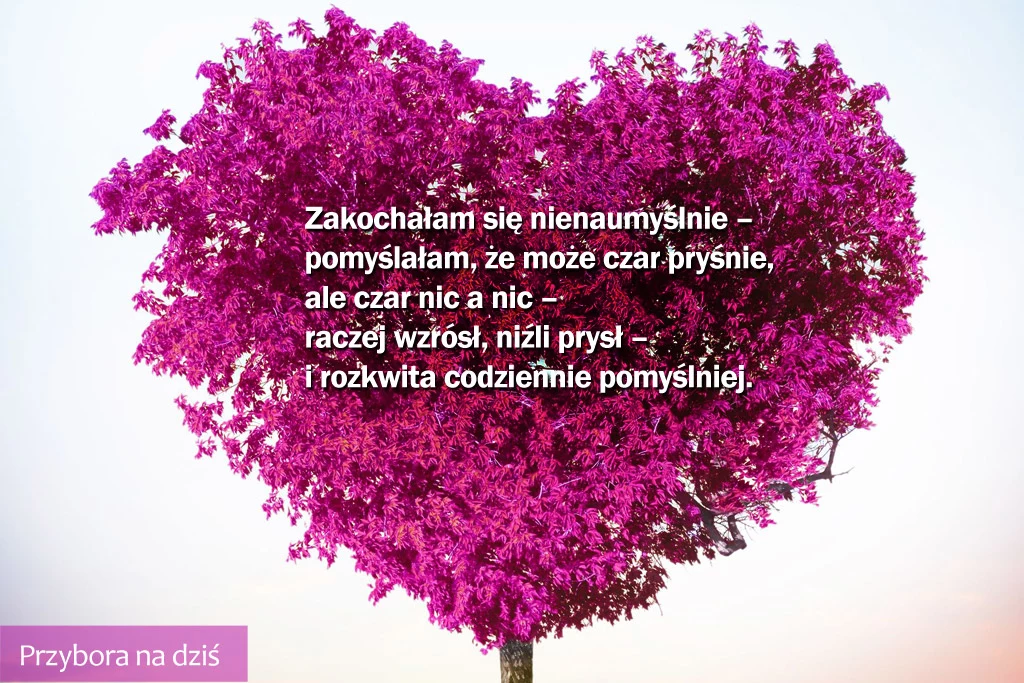 Przybora na dziś: 26 grudnia. KLIKNIJ i weź udział w konkursie "Miesiąc z Jeremim Przyborą" Przybora na dziś: 26 grudnia. KLIKNIJ i weź udział w konkursie "Miesiąc z Jeremim Przyborą"
