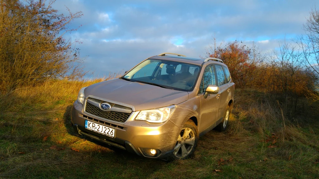 Subaru Forester w swoim naturalnym środowisku