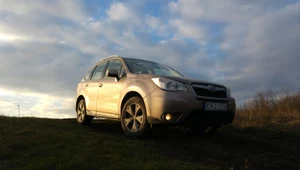 Subaru Forester - męskim okiem