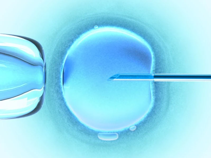 Gametogeneza in vitro - sposób na bezpłodność? Gametogeneza in vitro - sposób na bezpłodność?