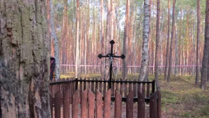 Krzyż, zdaniem Rady Ochrony Pamięci Walk i Męczeństwa, upamiętniał ofiary… hitlerowców