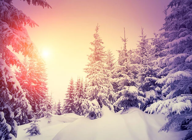 Niewykluczone, że w grudniu pojawią się opady śniegu Niewykluczone, że w grudniu pojawią się opady śniegu