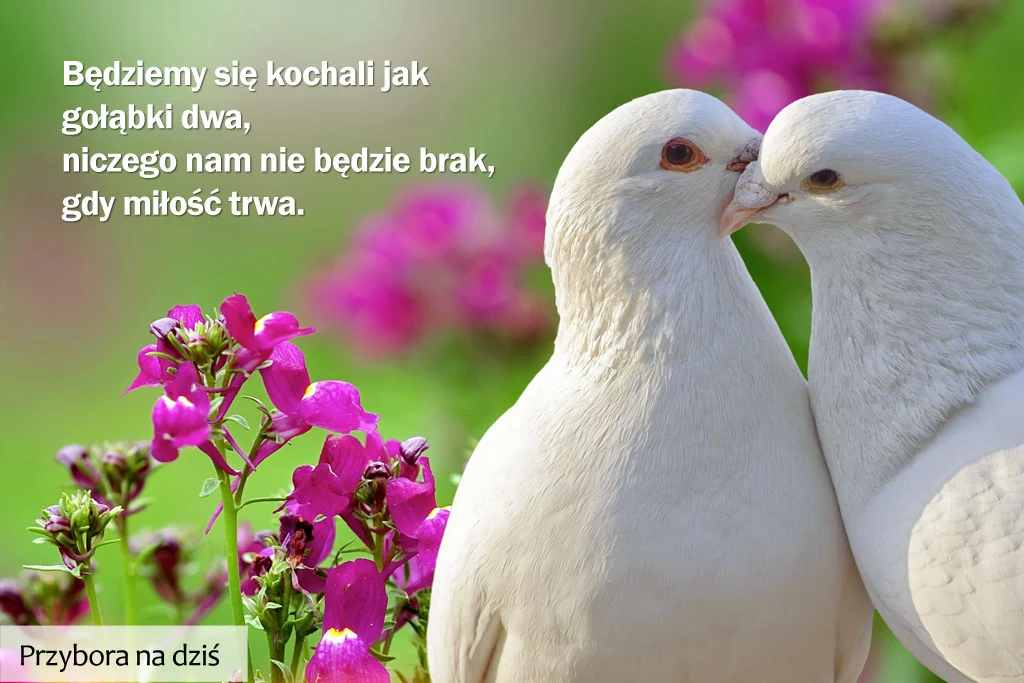 Przybora na dziś: 5 stycznia. KLIKNIJ i weź udział w konkursie "Miesiąc z Jeremim Przyborą" Przybora na dziś: 5 stycznia. KLIKNIJ i weź udział w konkursie "Miesiąc z Jeremim Przyborą"