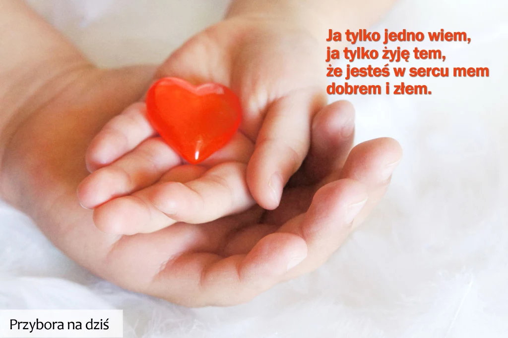 Przybora na dziś: 7 stycznia. KLIKNIJ i weź udział w konkursie "Miesiąc z Jeremim Przyborą" Przybora na dziś: 7 stycznia. KLIKNIJ i weź udział w konkursie "Miesiąc z Jeremim Przyborą"
