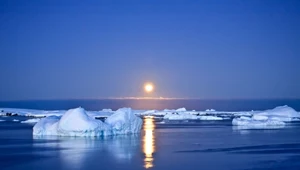 Antarktyda ponownie pod lupą naukowców z NASA